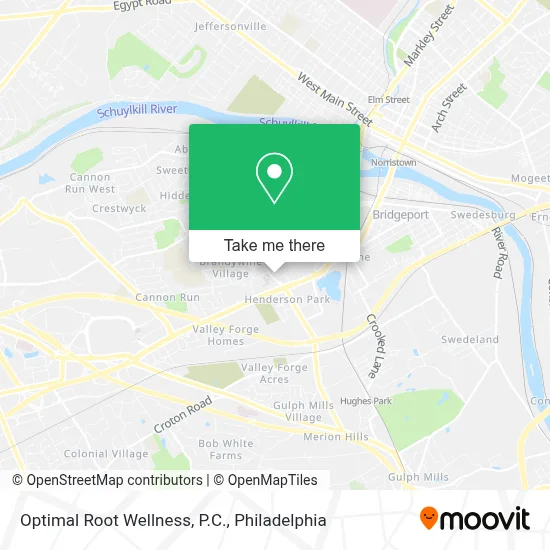Optimal Root Wellness, P.C. map