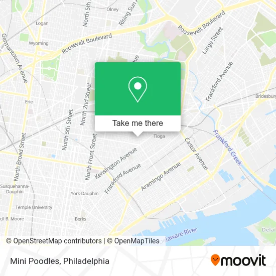 Mini Poodles map