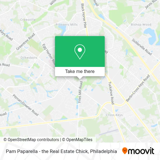 Pam Paparella - the Real Estate Chick map