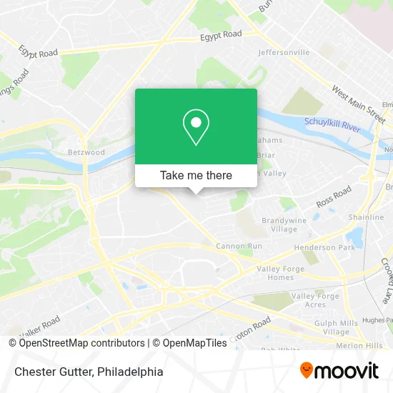 Chester Gutter map