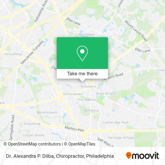 Dr. Alexandra P. Dilba, Chiropractor map