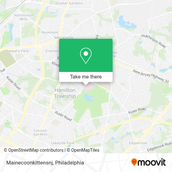 Mainecoonkittensnj map
