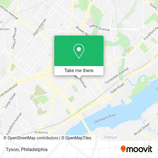 Tyson map