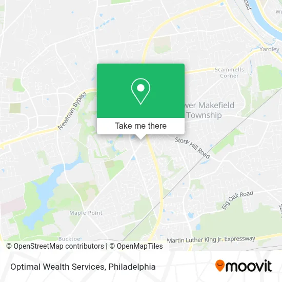 Optimal Wealth Services map