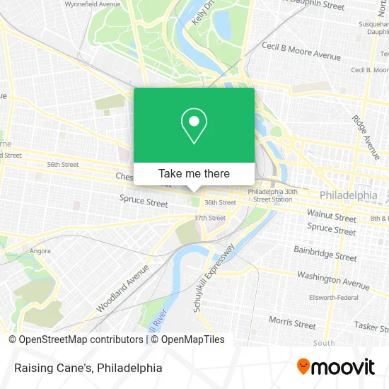Raising Cane's map