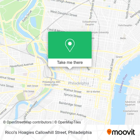 Ricci's Hoagies Callowhill Street map