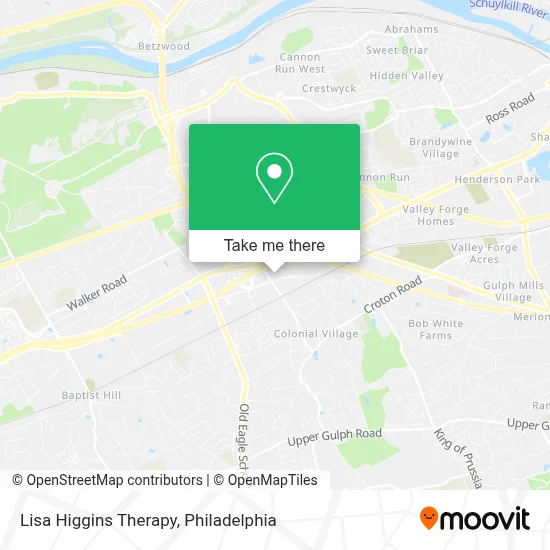 Lisa Higgins Therapy map