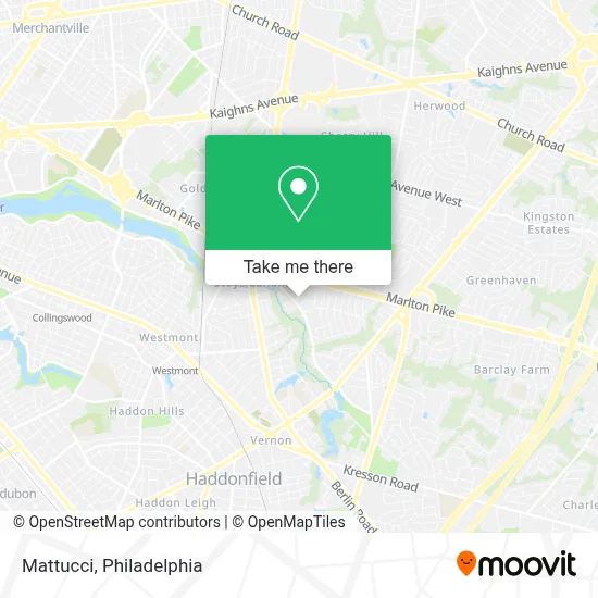 Mattucci map