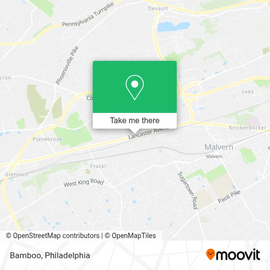 Bamboo map