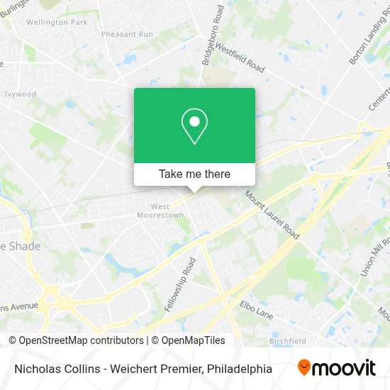Nicholas Collins - Weichert Premier map
