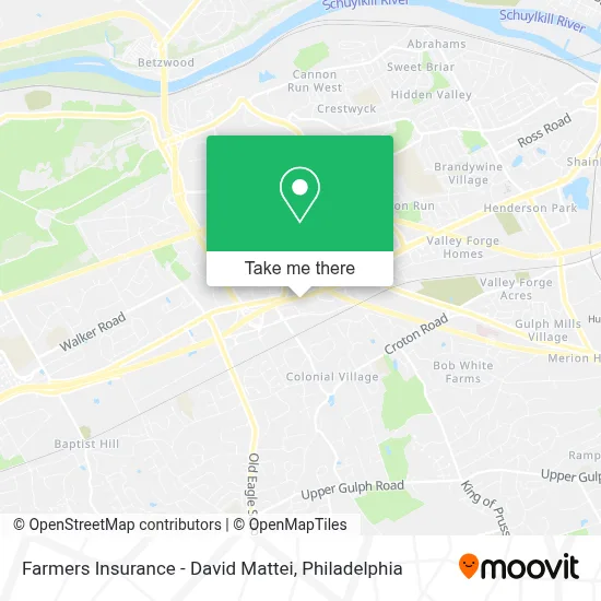 Farmers Insurance - David Mattei map
