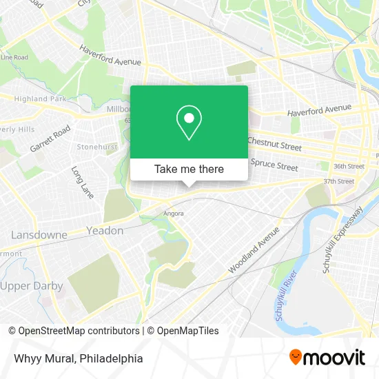 Whyy Mural map