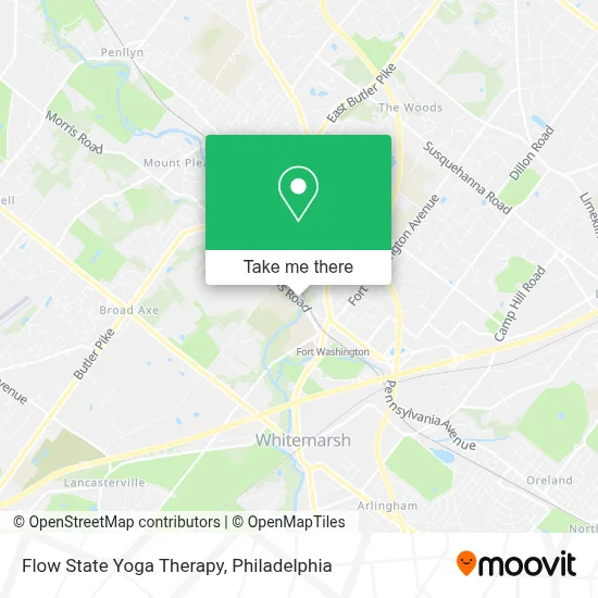 Flow State Yoga Therapy map