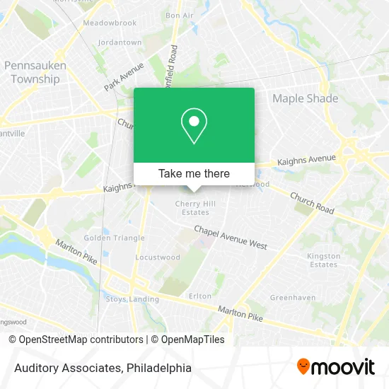 Auditory Associates map