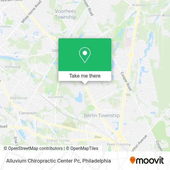 Alluvium Chiropractic Center Pc map