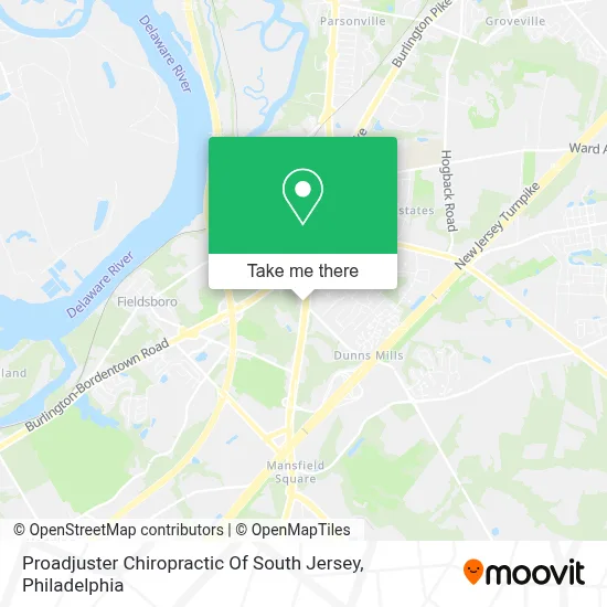Proadjuster Chiropractic Of South Jersey map