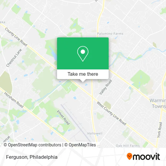 Ferguson map
