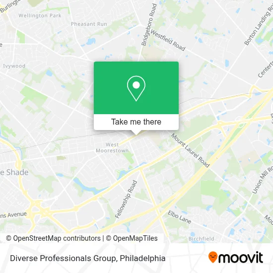 Diverse Professionals Group map