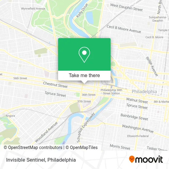 Invisible Sentinel map