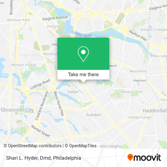 Shari L. Hyder, Dmd map