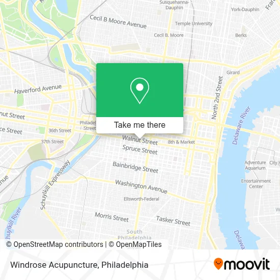Windrose Acupuncture map