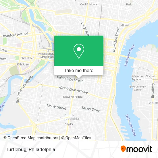 Turtlebug map