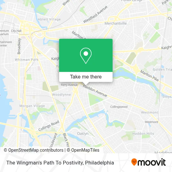 The Wingman's Path To Postivity map