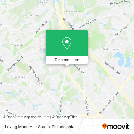Loving Mane Hair Studio map