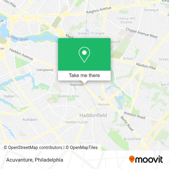Acuvanture map