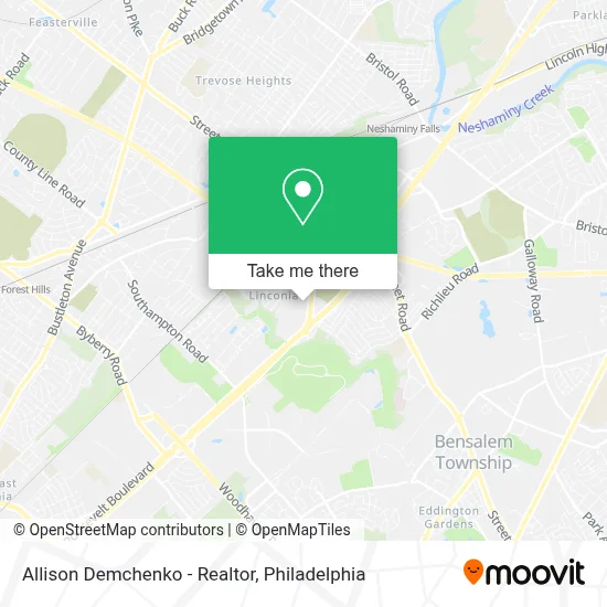 Allison Demchenko - Realtor map
