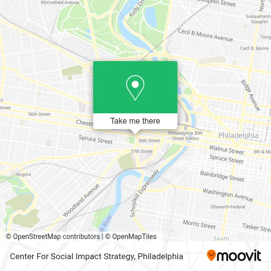 Center For Social Impact Strategy map