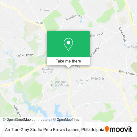 An Tran-Gray Studio Pmu Brows Lashes map