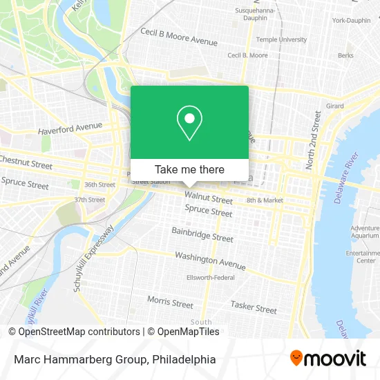 Marc Hammarberg Group map
