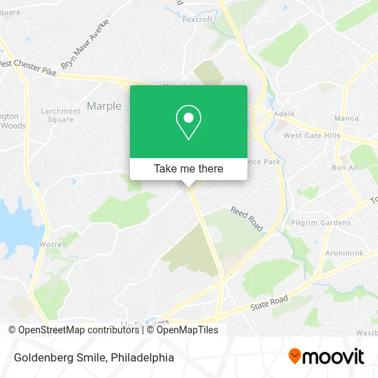 Goldenberg Smile map