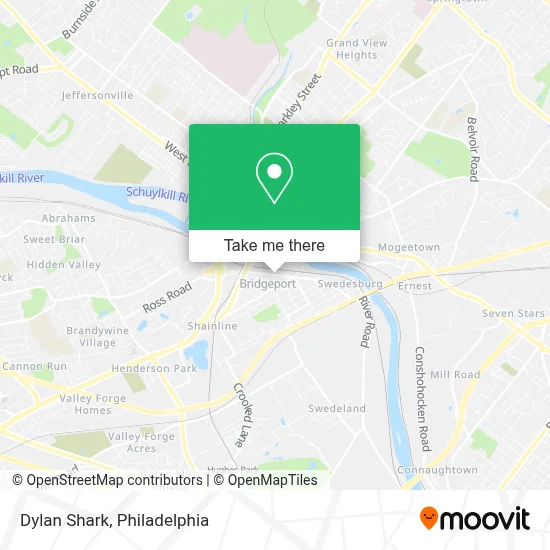Dylan Shark map