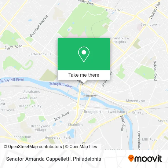Senator Amanda Cappelletti map
