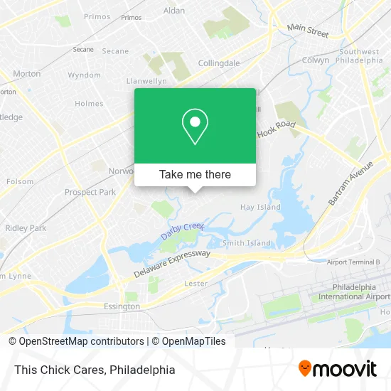 This Chick Cares map