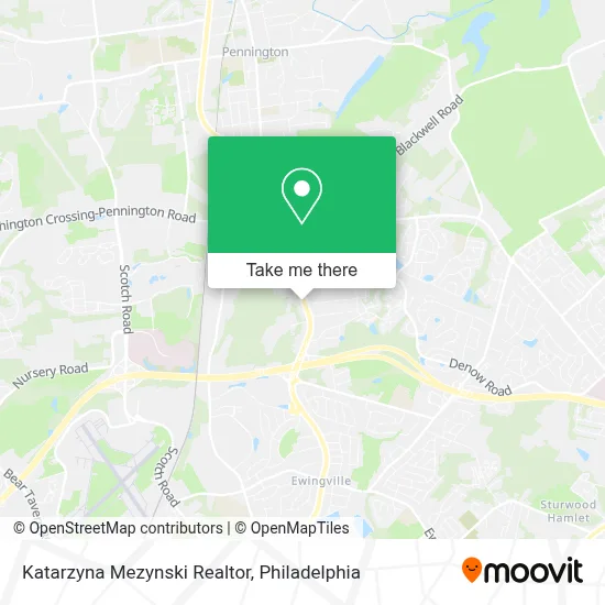 Katarzyna Mezynski Realtor map