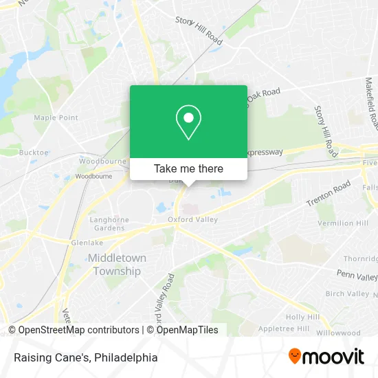 Raising Cane's map