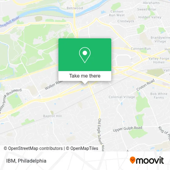 Ibm map