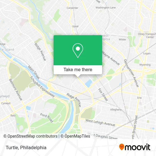Turtle map