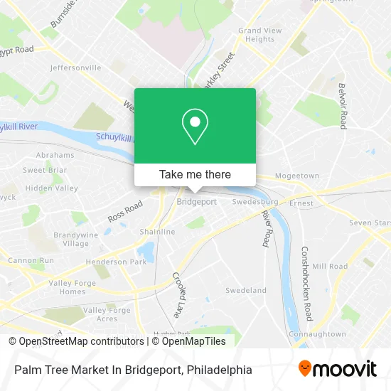 Palm Tree Market In Bridgeport map
