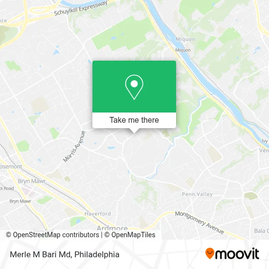 Merle M Bari Md map