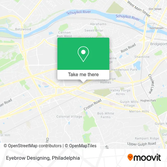Eyebrow Designing map