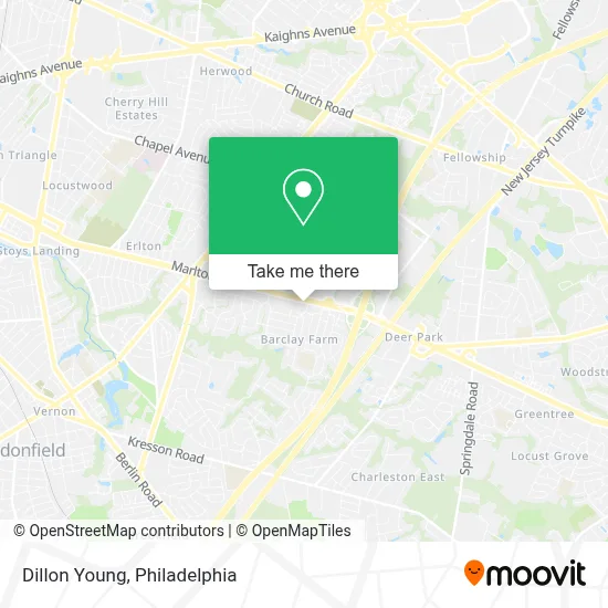 Dillon Young map