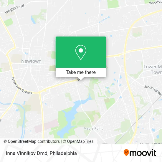 Inna Vinnikov Dmd map