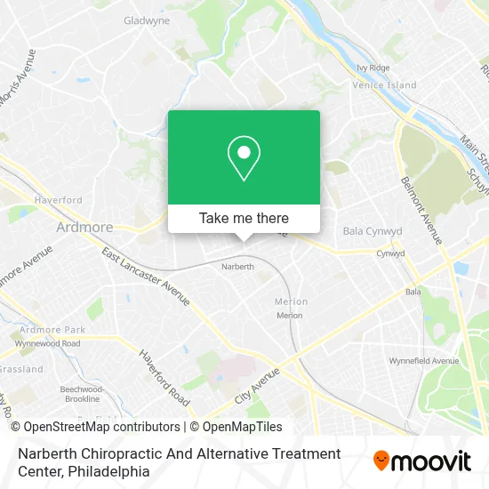 Narberth Chiropractic And Alternative Treatment Center map