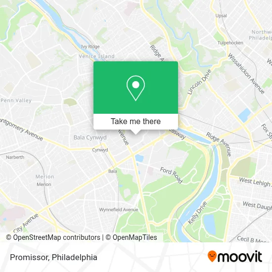 Promissor map