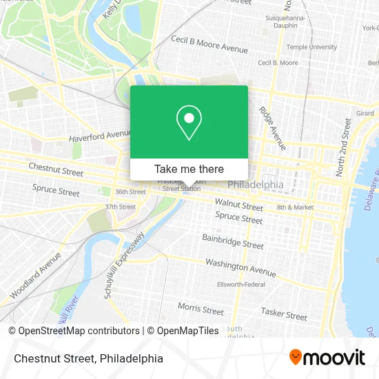 Chestnut Street map