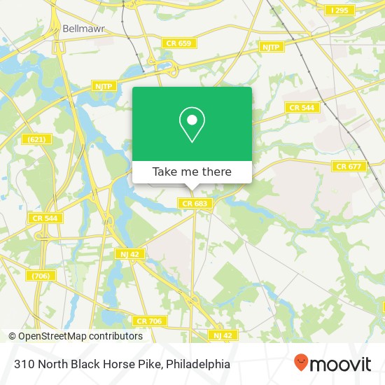 310 North Black Horse Pike map